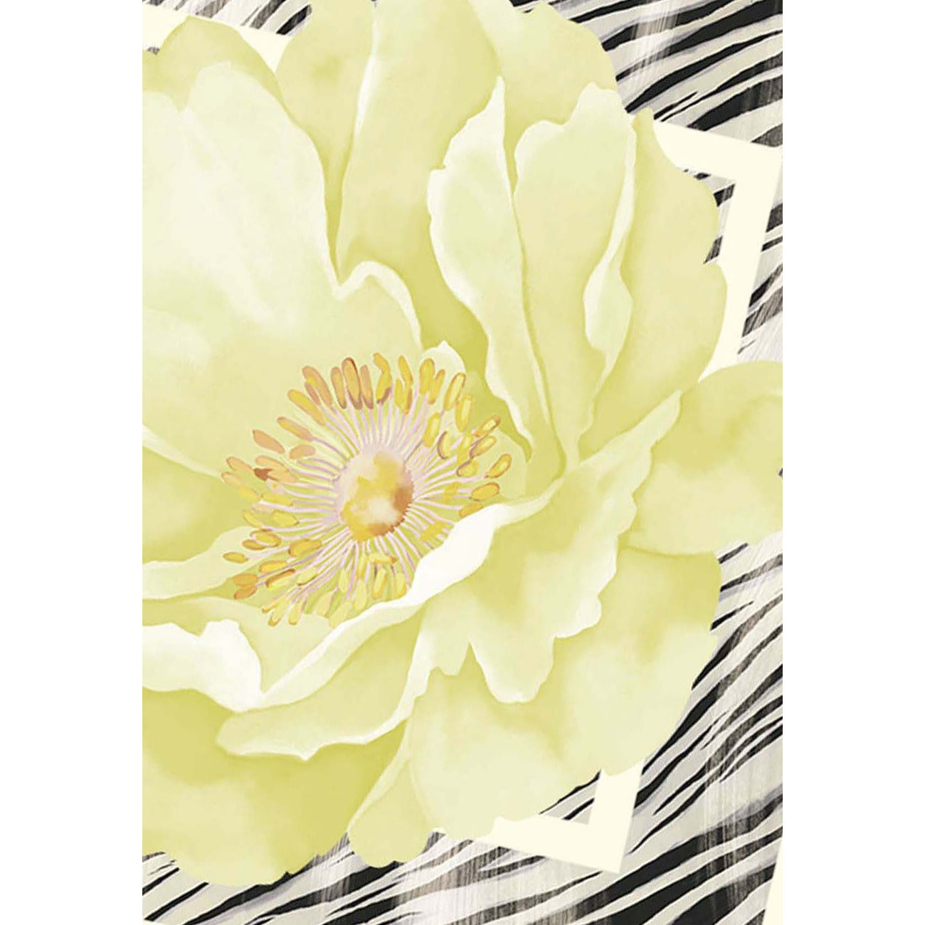 Liu Jo - Liu Jo Women's Scarves
