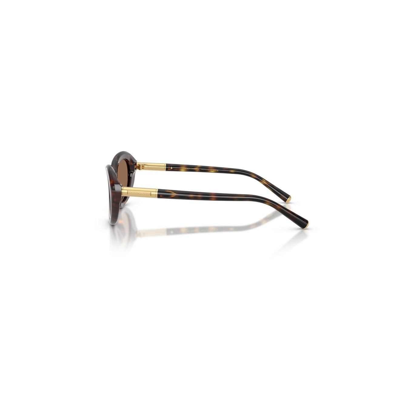 Dolce & Gabbana - Dolce & Gabbana Women's Sunglasses